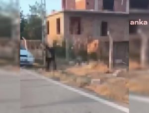 Ankara Polatlı’da yavru köpeği dirgenle öldüren cani tutuklandı