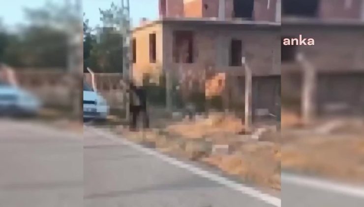 Ankara Polatlı’da yavru köpeği dirgenle öldüren cani tutuklandı