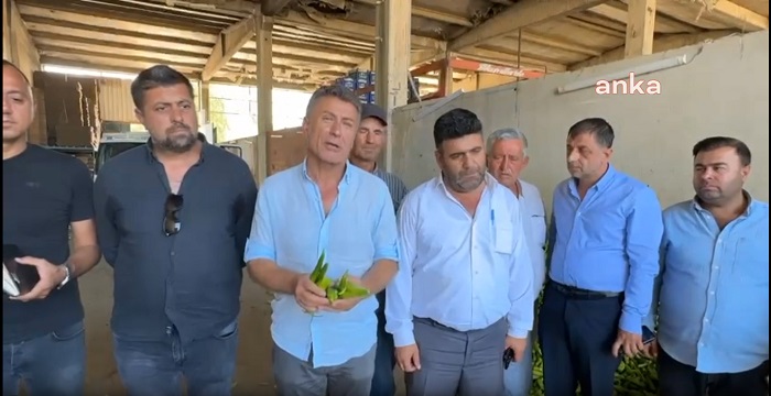 Bursalı biber üreticisi satamadığı ürünü çöpe döküyor