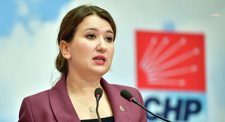 CHP’li Gökçe Gökçen: “2024 yılında Instagram’ı kapatmanın esnafın kepengini kapatmaktan hiçbir farkı yok”