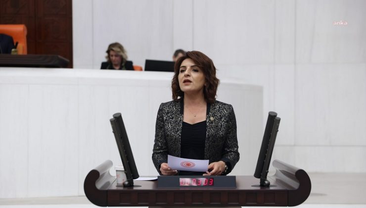 “CHP’li Gülcan Kış: Bireysel Borçlar Hızla Artıyor, Ekonomik Destek ve Yasal Düzenlemeler Şart”