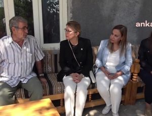 CHP, Narin için Diyarbakır’da… CHP Kadın Kolları Genel Başkanı Kaya’dan Açıklama