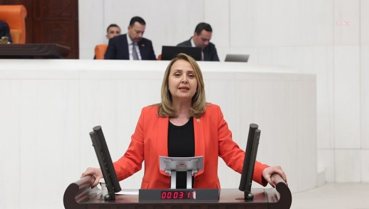 CHP’li Semra Dinçer: AKP iktidarı 2024 yılının ilk 7 ayında faize 618 milyar lira ödedi