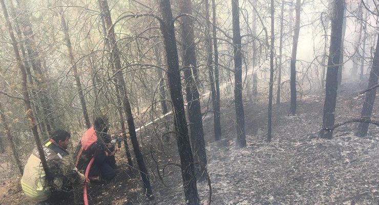 Çamlıdere’de Yangın… Mansur Yavaş’tan Son Dakika Açıklaması.