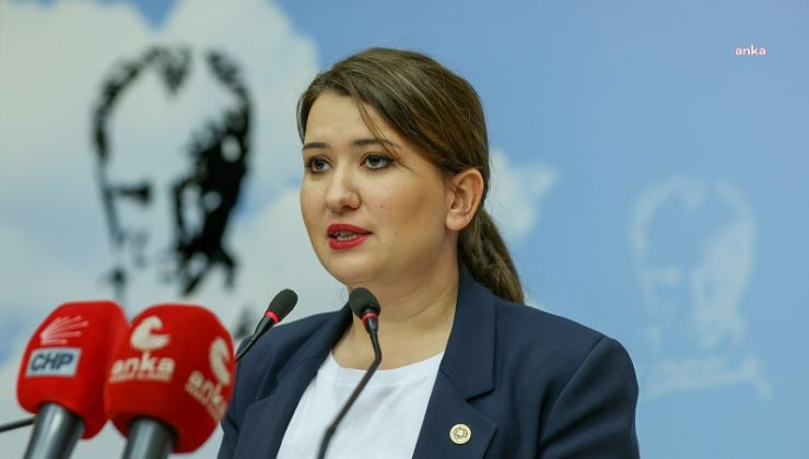 Gökçe Gökçen’den, Bakan Yumaklı’ya: Niğde’deki köpekler, ne tür bir tehlike arz ettikleri için öldürülmüştür?