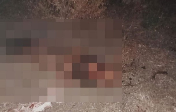 İstanbul Fatih’te sokak köpeklerinin saldırısına uğrayan bir kişi hayatını kaybetti