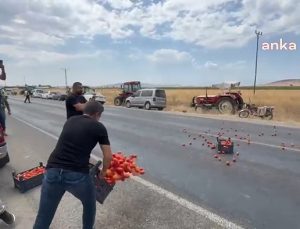 Kahramanmaraş’ta çiftçi eylemi: Ellerinde kalan domatesleri traktörlerle kapattıkları yola döktüler