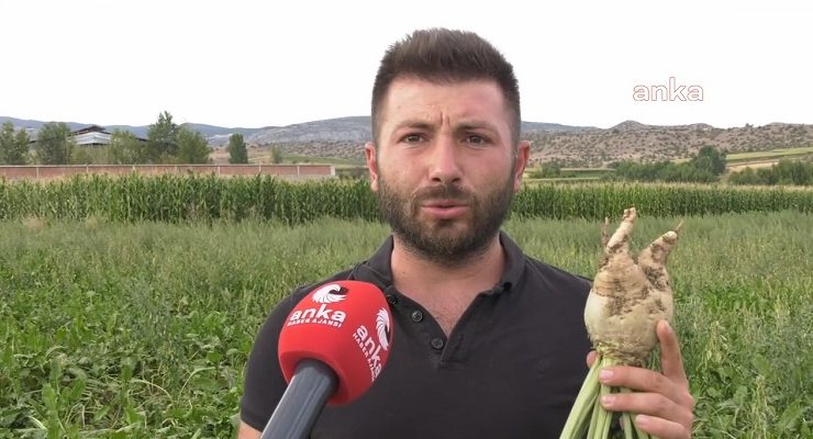 Kastamonulu çiftçiler dertli… “Çok kötüyüz, kan ağlıyoruz.