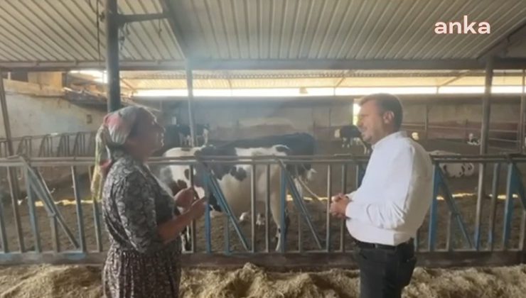 Manisalı besici: Süt hayvanları yine kesime gidecek, yapacak bir şey yok