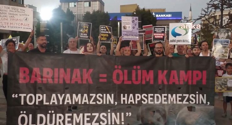 Manisa’daki kedi katliamına hayvan severlerden tepki: Adaletin sulamadığı toprakta isyan çiçek açar