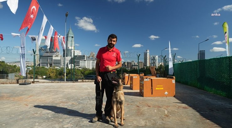 Olası Marmara depremine hazırlanan Dante ve Tokyo’nun eğitmenleri: “55 köpeğimiz var, 17’si İstanbul’da. Mahallemize bile yetmez”