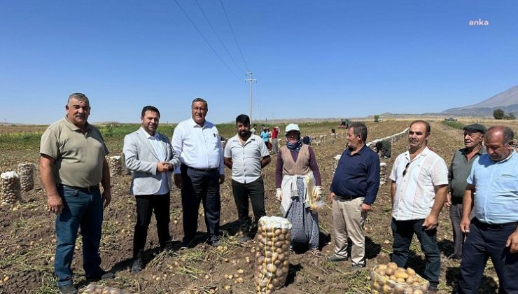 Patatesi tarlada kalan çiftçi isyan etti: Bu halk, biz ekmezsek, dikmezsek ne yiyecek?
