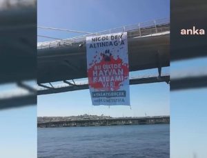 Sokak hayvanları yasasına karşı Haliç’te pankartlı protesto