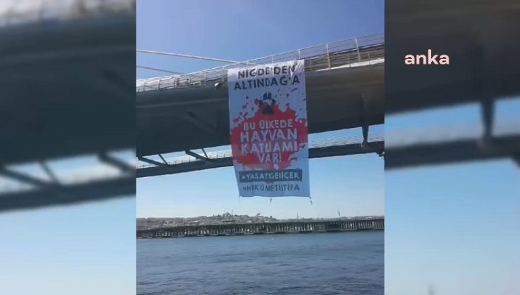 Sokak hayvanları yasasına karşı Haliç’te pankartlı protesto