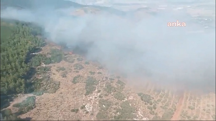 Son Dakika…. Hatay Antakya’da orman yangını çıktı
