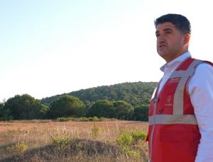 İstanbul’da sokak hayvanları için dev proje