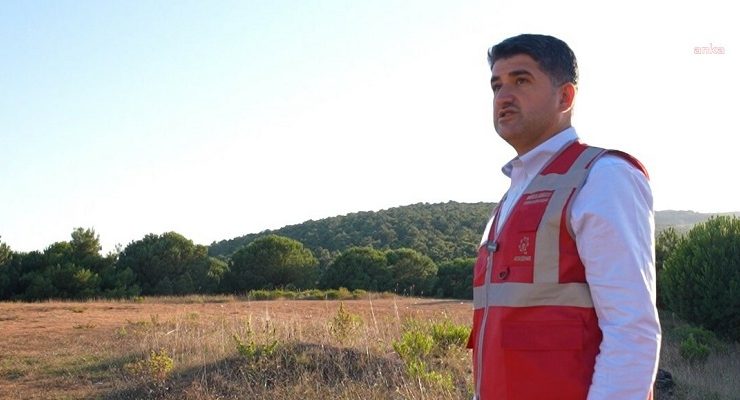 İstanbul’da sokak hayvanları için dev proje