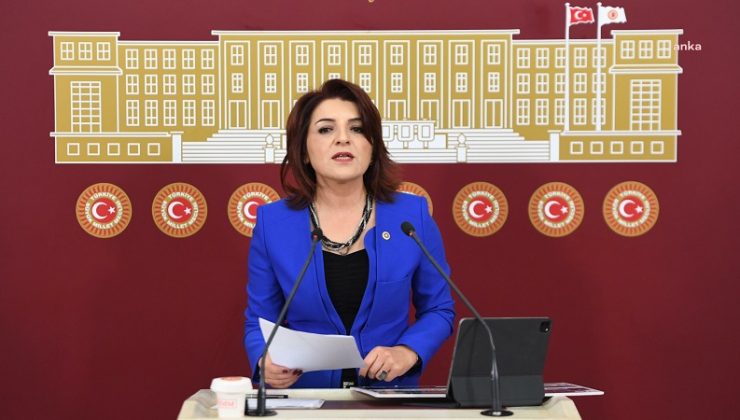CHP’li Gülcan Kış: AKP iktidarının ekonomi politikaları nedeniyle esnaf kepenk indiriyor, şirketler batıyor