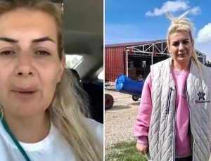 Sokak hayvanları için toplanan paraların akıbeti belli oldu: At yarışı oynamış!