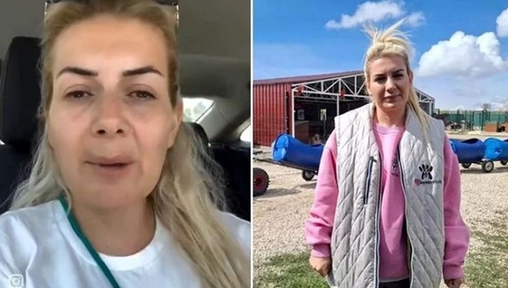 Sokak hayvanları için toplanan paraların akıbeti belli oldu: At yarışı oynamış!