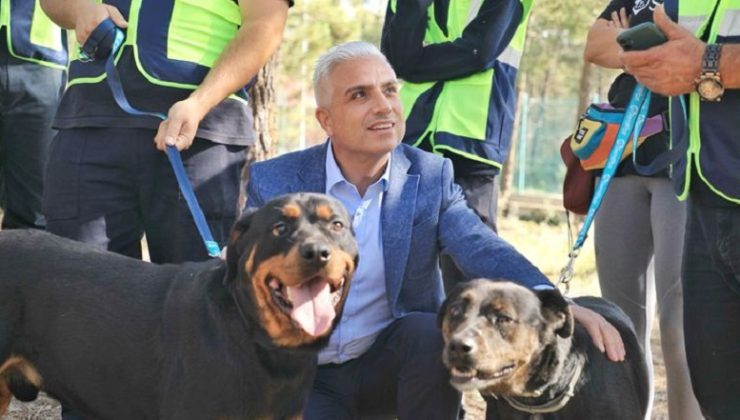 İETT Kapılarını Patili Dostlarına Açtı