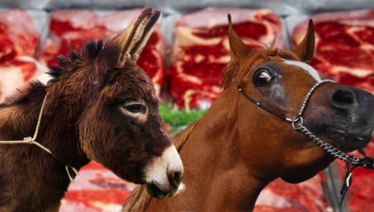At ve Eşek Eti En Çok O İllerde Kullanıldı: Bakanlık Tek Tek İfşa Etti