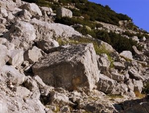 Rize’de heyelan: 1 kişi hayatını kaybetti