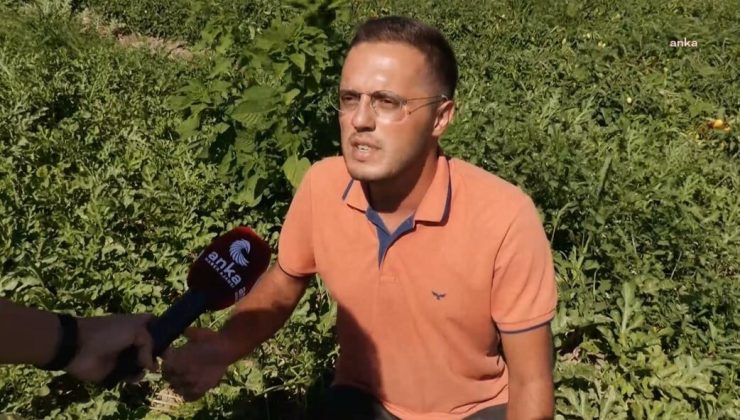 “Çiftçinin anası ağlıyor” dedi, Cumhurbaşkanı’na hakaret davası açıldı