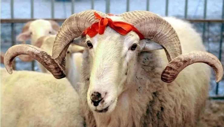 Kurban Bayramı Tatili Kaç Gün Olacak? Resmi Açıklama Geldi!