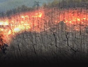 Bilecik ve İzmir “Genel Hayata Etkili Afet Bölgesi” ilan edildi