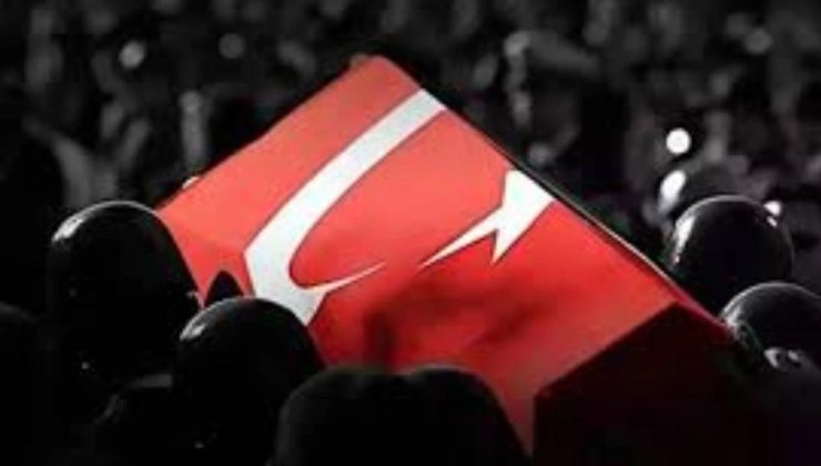 İki mehmetçik susuzluktan şehit oldu!