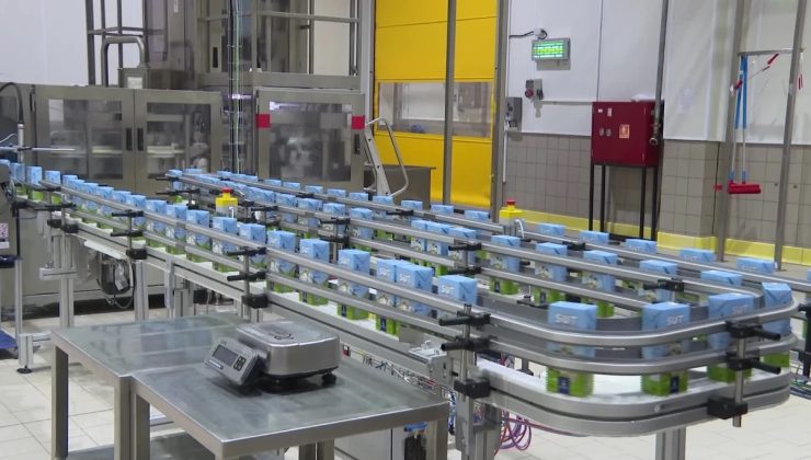 Türkiye’nin süt devinde bakteri skandalı